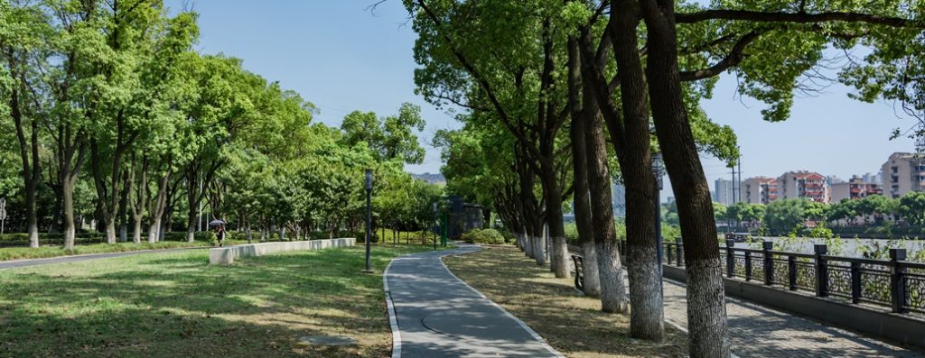 Conheça os parques da Avenida Paulista