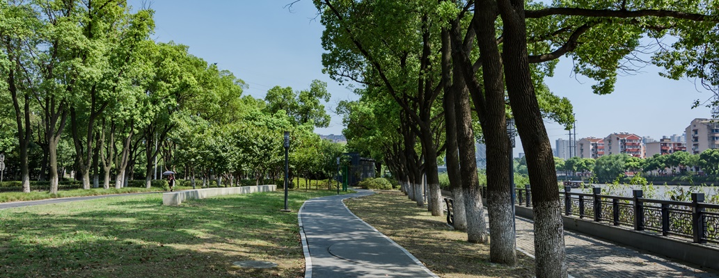 Conheça os parques da Avenida Paulista