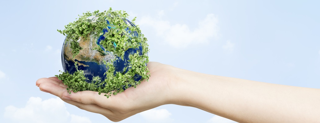 Entenda tudo sobre a tendência marketing verde