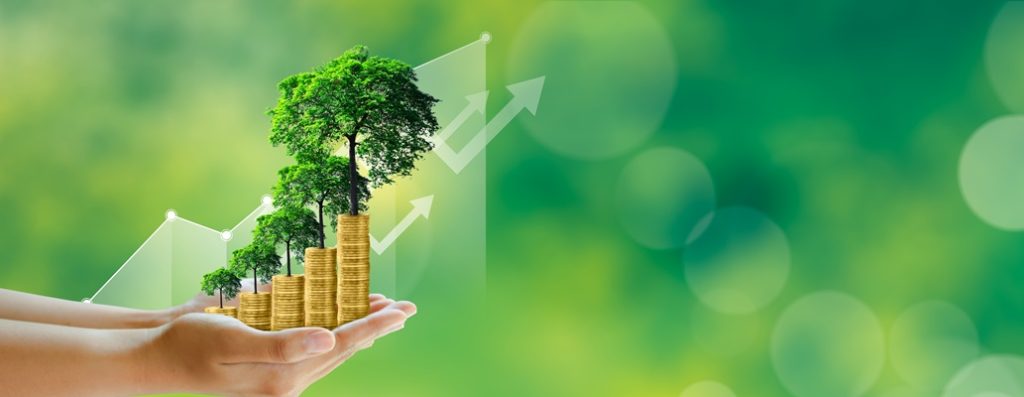5 Motivos para se preocupar com sustentabilidade econômica