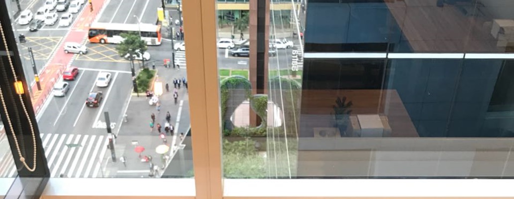 Atuação Profissional na Avenida Paulista: O Pulso Financeiro e Cultural de São Paulo